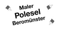 image-8800784-Bandensponsor_Maler_Polesel.png